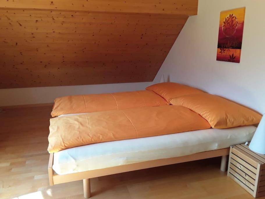 Zwinglis Ferienwohnung Rosi Nesslau Exteriér fotografie